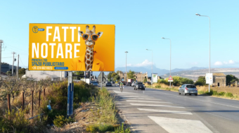 8567baf8-312b-4313-a34f-8f8f7f10ced6